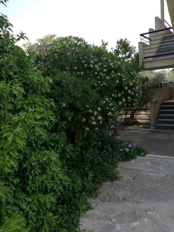 Pericles Studios Agia Marina  ภายนอก รูปภาพ